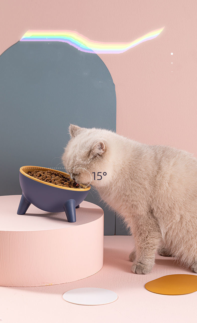 Nordic Feeding Bowl with Stand