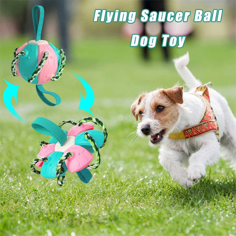 Interactive Soccer Ball Training Toy