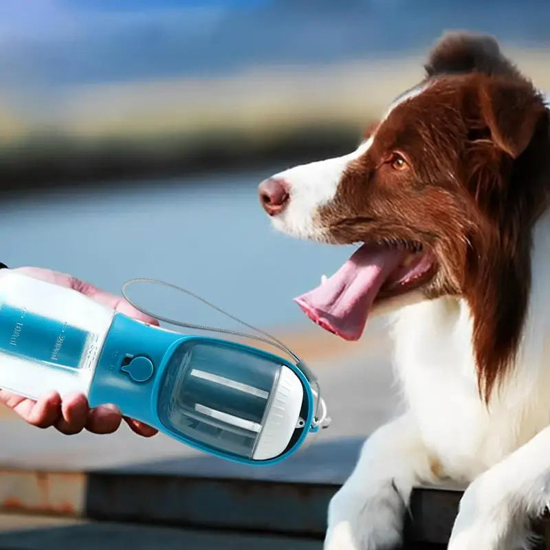 Portable Three-in-One Water Bottle Feeder