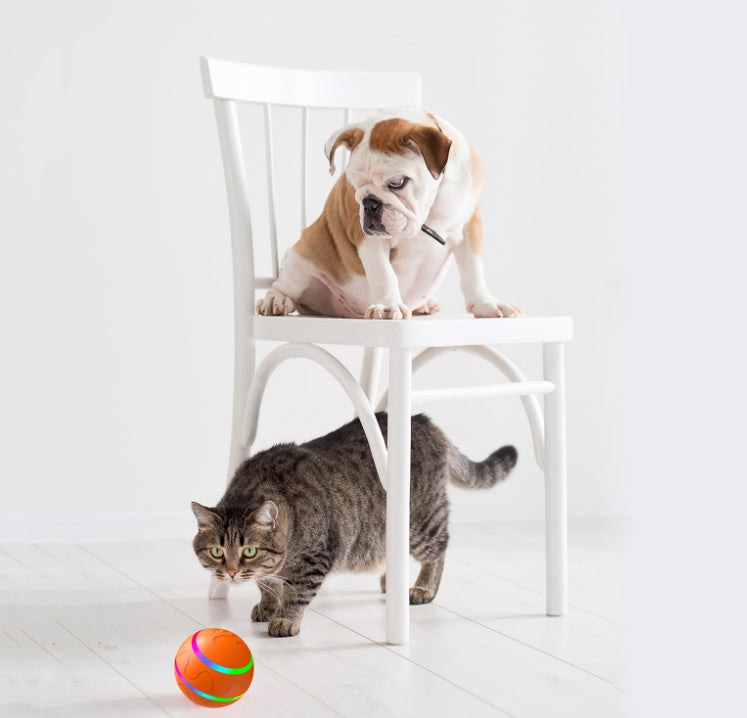 Smart USB Ball Toy