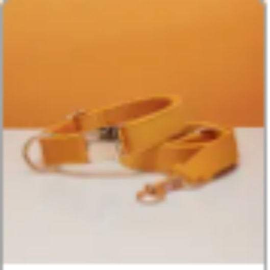 Multiple Colour Velvet Dog Collar