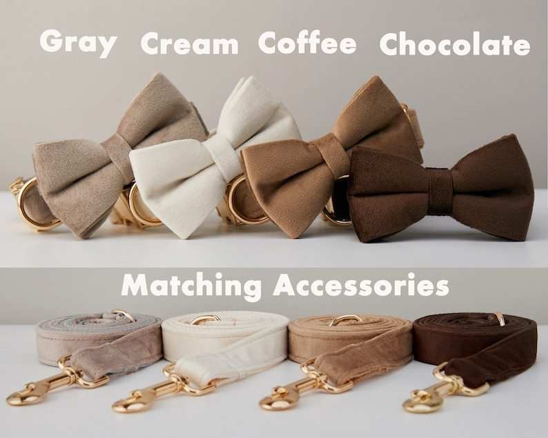 Multiple Colour Velvet Dog Collar