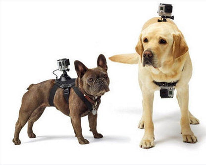Chest Strap Harness with GoPro Mount