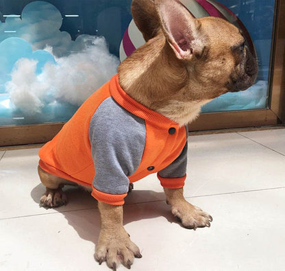 Pug Small And Medium Dog