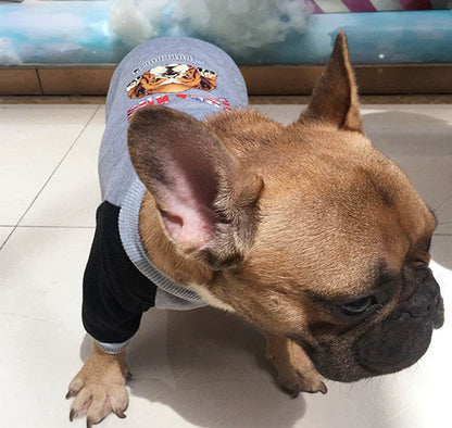 Pug Small And Medium Dog