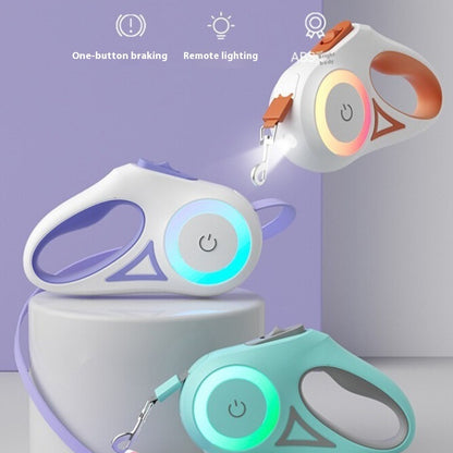 Retractable Leash with Spotlight – Collar Set