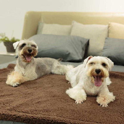 Plush Pet Blanket