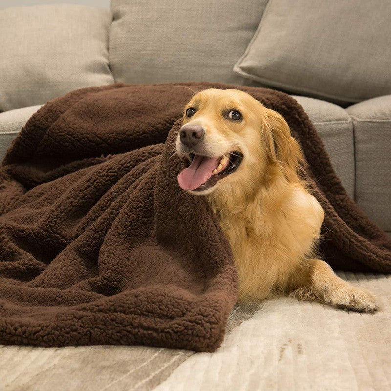 Plush Pet Blanket Golden retriever covered with a brown plush pet blanket on a sofa
