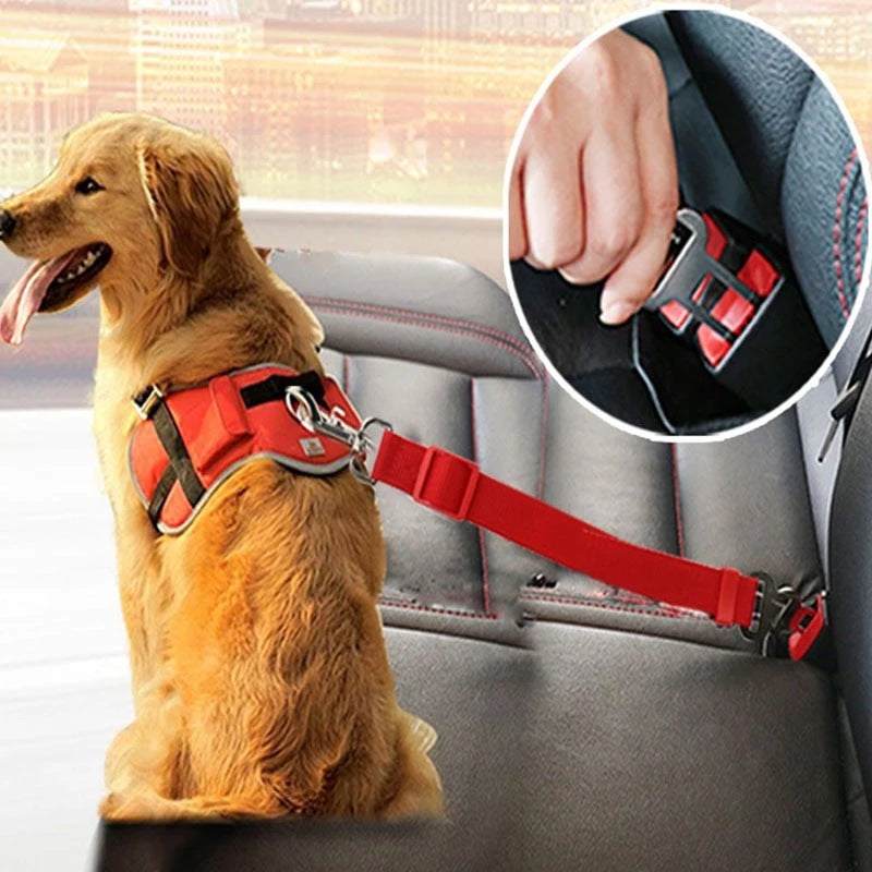 Golden retriever wearing red adjustable pet car seat belt harness secured to car seat buckle