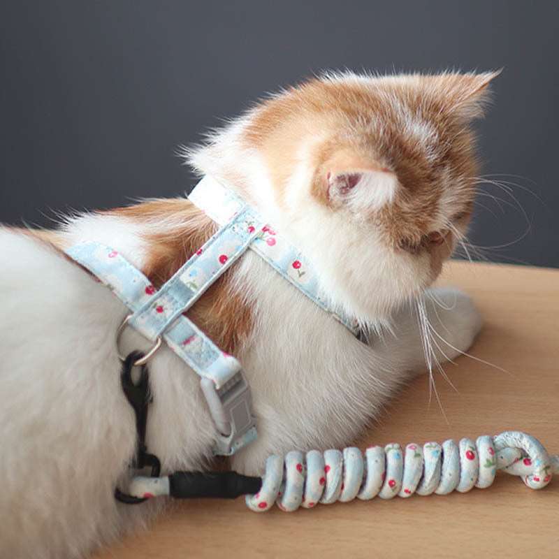 cat wearing Simple Pet Print floral cotton anti-stroke harness leash in light blue color