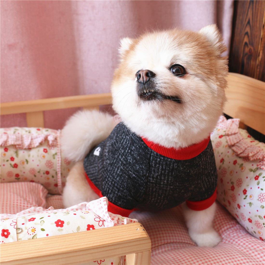 Pet Clothes