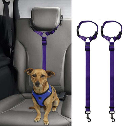 Car Backseat Pet Leash