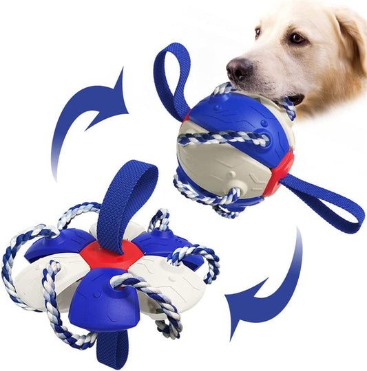 Interactive Soccer Ball Training Toy