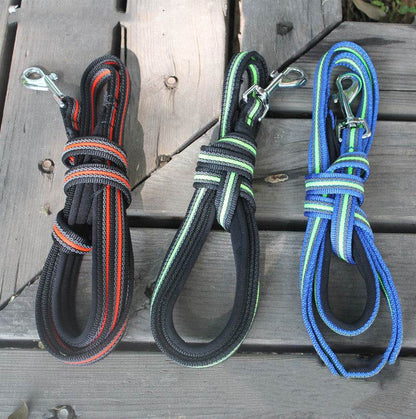 Professional dog training chain