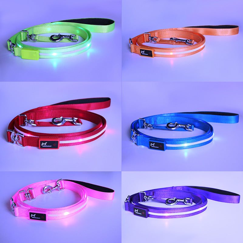 Creative LED USB charging luminous pet leash and collar glowing blue on a white dog at night