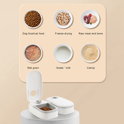 Automatic Smart Feeder with Timer
