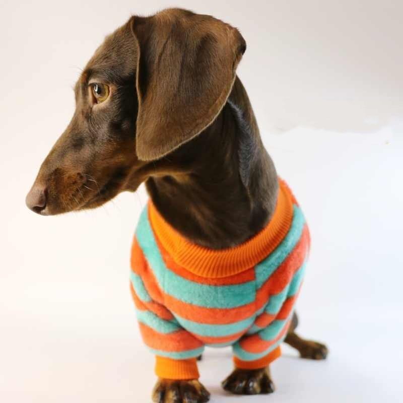 Dog Cat Pet Clothes Two dachshund dogs wearing orange red and white striped casual pet sweatshirts for warmth