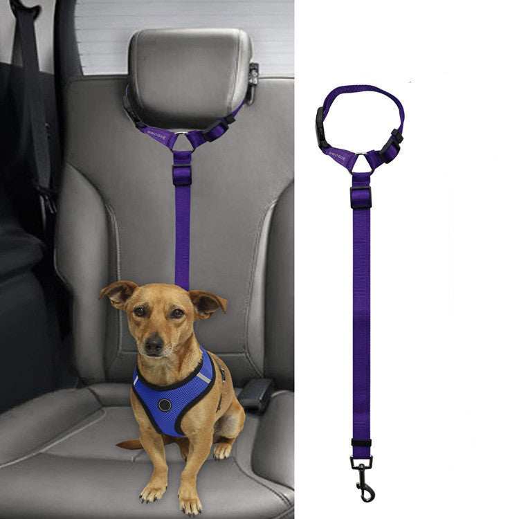 Car Backseat Pet Leash