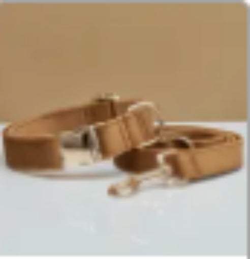 Multiple Colour Velvet Dog Collar