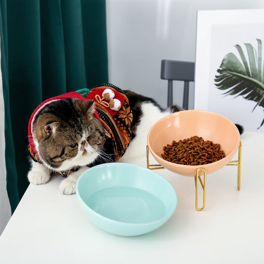 Ceramic Pet Bowl Durable Food Water Feeder