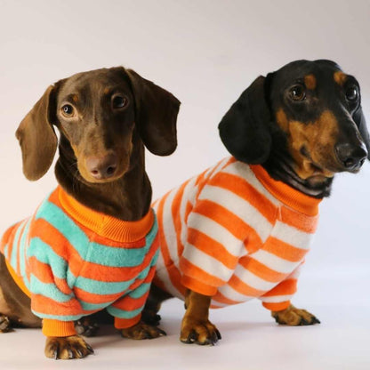 Dog Cat Pet Clothes Two dachshund dogs wearing orange red and white striped casual pet sweatshirts for warmth