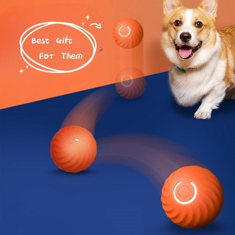Durable Rubber Chew Ball Toy