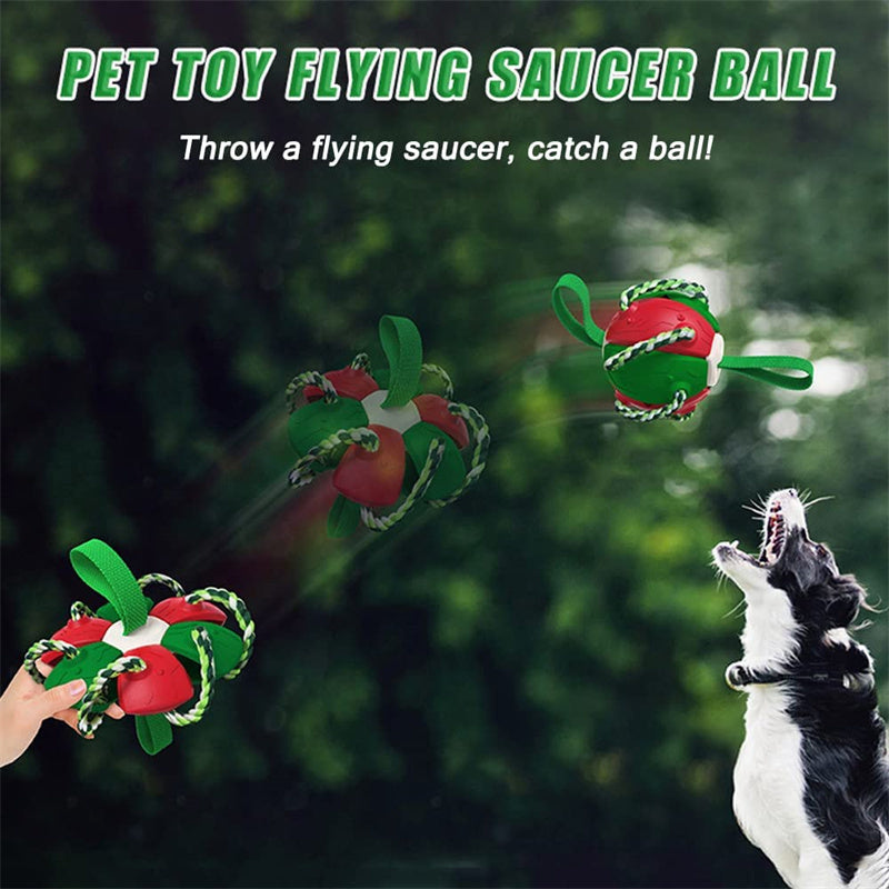 Interactive Soccer Ball Training Toy
