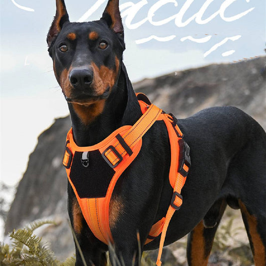 Doberman wearing orange pet hand holding rope harness for secure dog walking