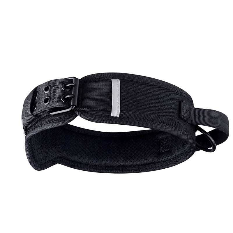 Horse And Dog Collar
