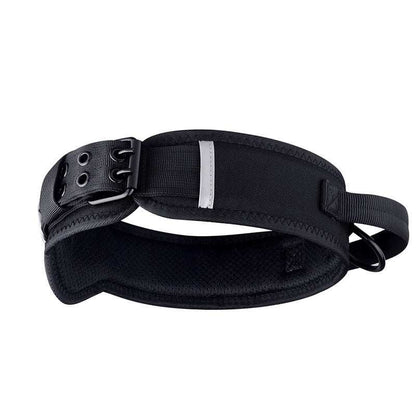 Horse And Dog Collar