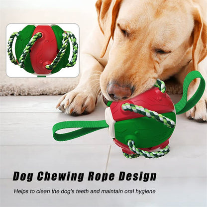 Interactive Soccer Ball Training Toy
