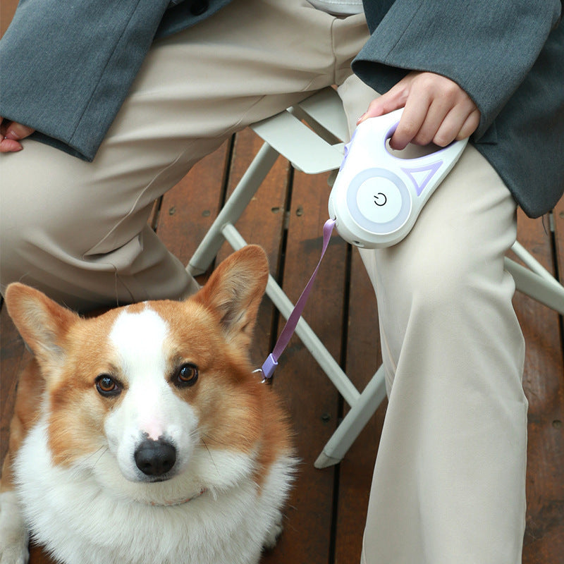 Retractable Leash with Spotlight – Collar Set