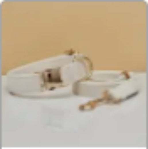 Multiple Colour Velvet Dog Collar