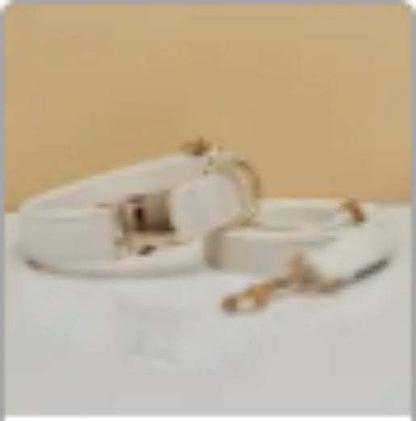 Multiple Colour Velvet Dog Collar