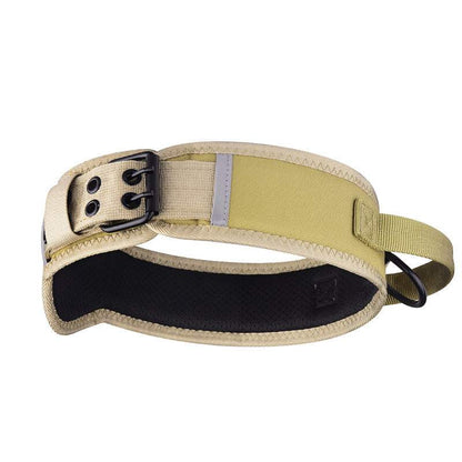 Horse And Dog Collar