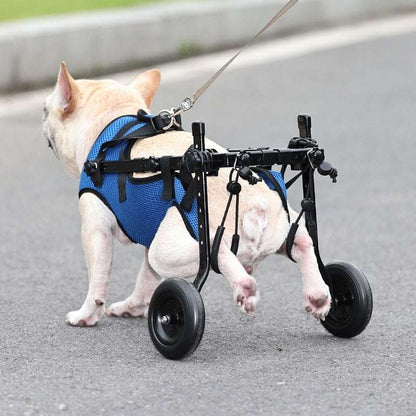 Pet Disabled Dog Wheelchair