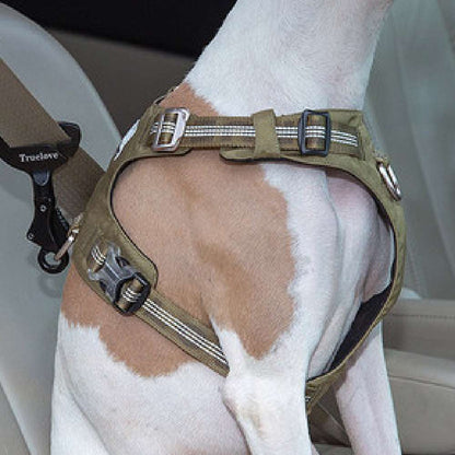 Pet Safety Buckle attached to dog harness for car safety restraint