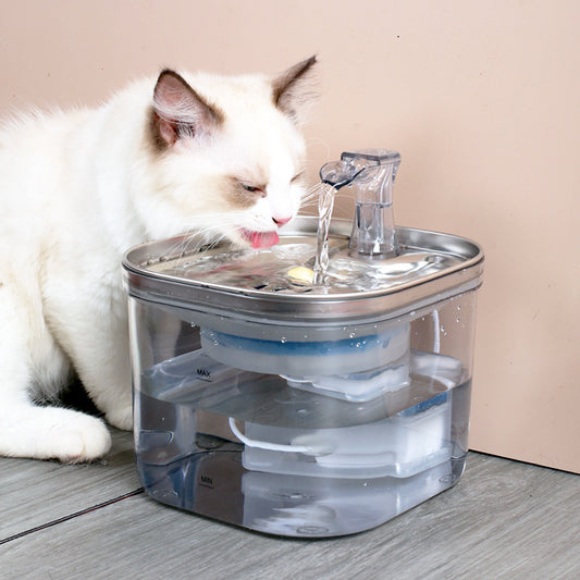 Stainless Steel Automatic Water Fountain
