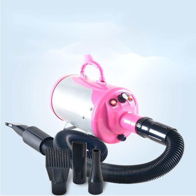High-Power Hair Dryer