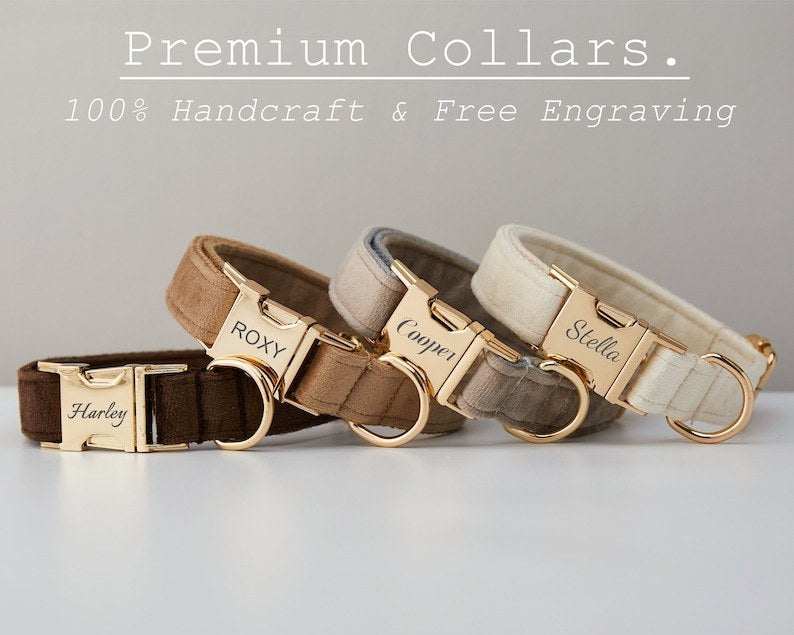 Multiple Colour Velvet Dog Collar