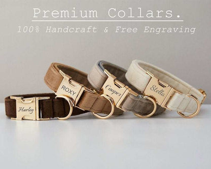 Multiple Colour Velvet Dog Collar