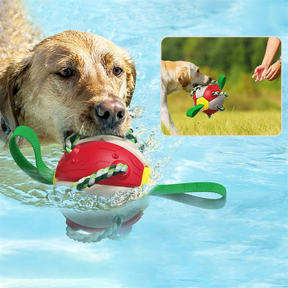 Interactive Soccer Ball Training Toy