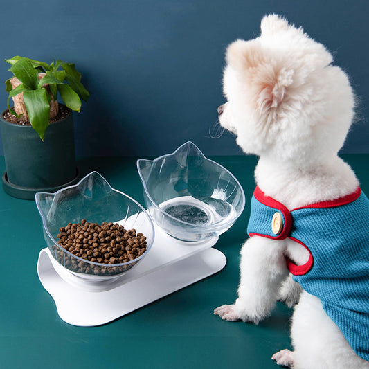 Inclined Transparent Cat Bowl