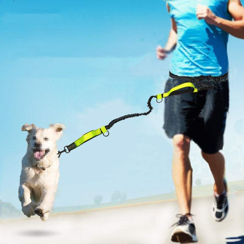 Multifunctional running reflective double telescopic dog leash with bright yellow leash and person jogging outdoors with dog