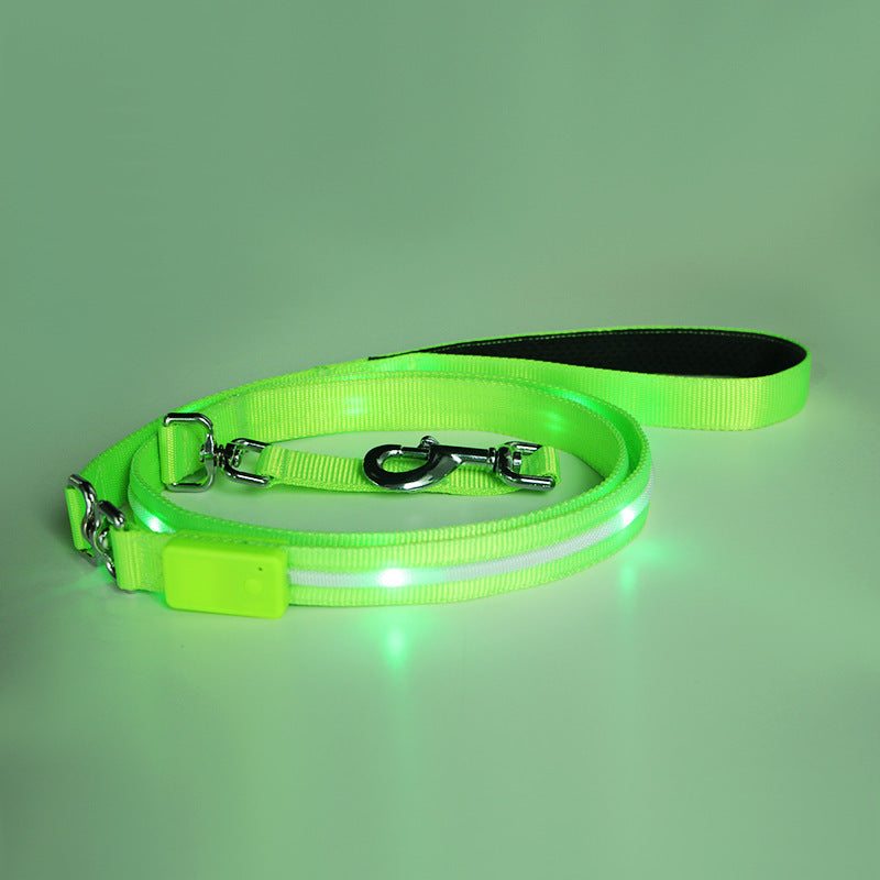 Creative LED USB charging luminous pet leash and collar glowing blue on a white dog at night