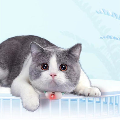 Automatic Smart Laser Collar Toy