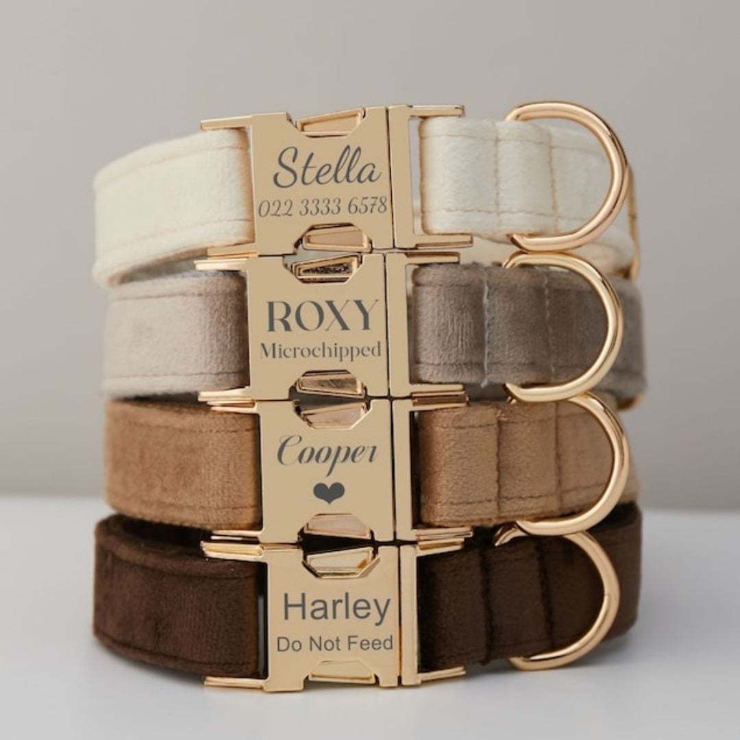 Multiple Colour Velvet Dog Collar