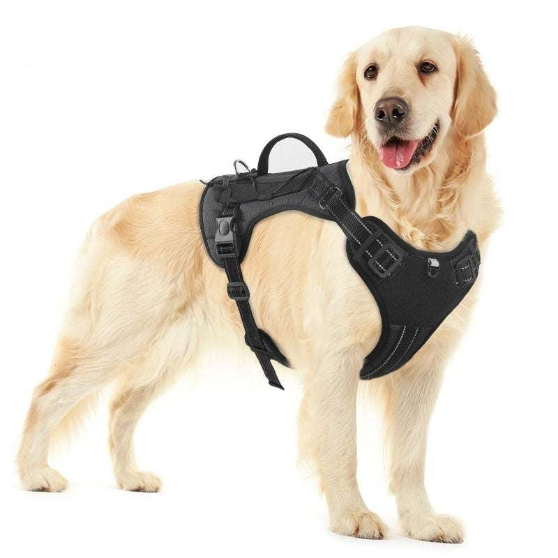 Doberman wearing orange pet hand holding rope harness for secure dog walking