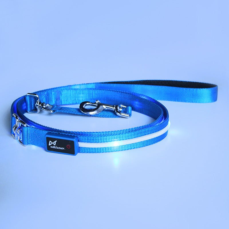 Creative LED USB charging luminous pet leash and collar glowing blue on a white dog at night