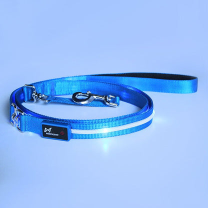 Creative LED USB charging luminous pet leash and collar glowing blue on a white dog at night
